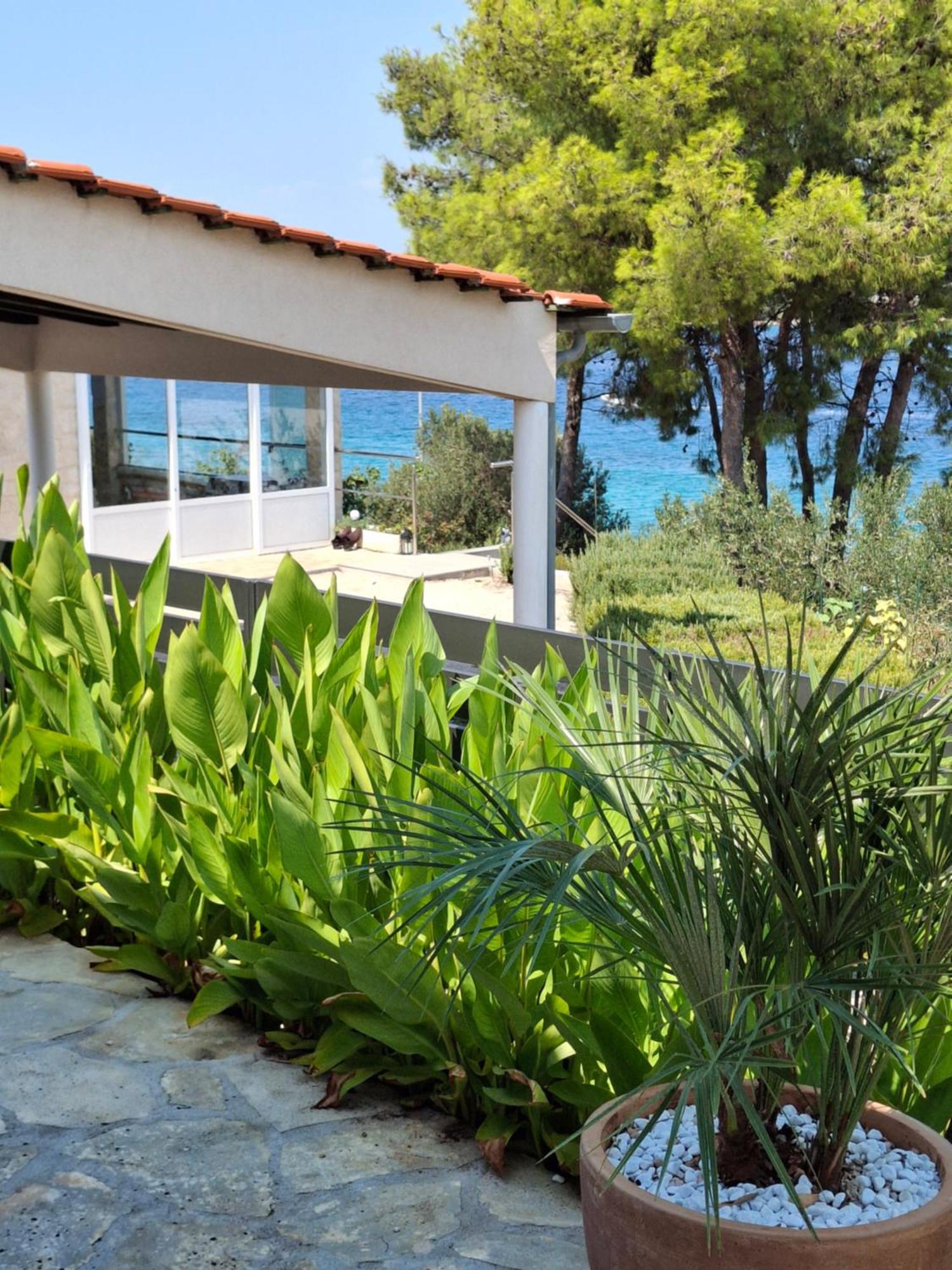 Villa Gjardini - Sparadici Grebastica Exterior photo